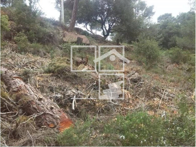 Inmueble en , Barcelona