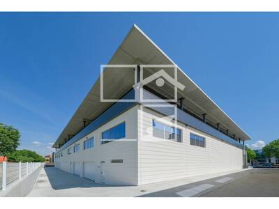 Local en Tolosa, Vic Barcelona