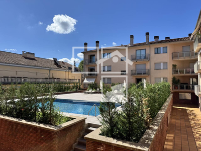 Local en Olot Girona