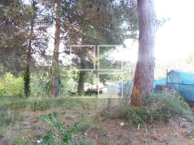 Local en Sant Quirze del Vallès Barcelona