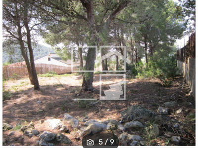 Local en Calafell Tarragona