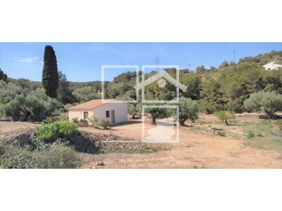 Local en 15, El Perelló Tarragona