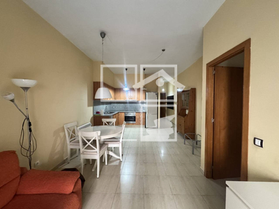 Local en Olot Girona