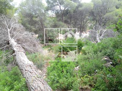 Inmueble en Calle Tulipa    , Tarragona